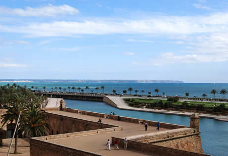 Palma de mallorca park foto