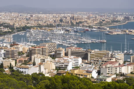 Palma di maiorca foto